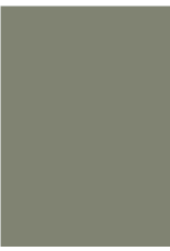 Farrow & Ball Paint Treron  No. 292