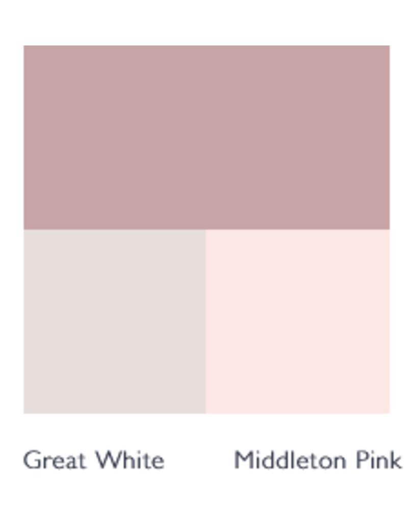 Farrow & Ball Paint Cinder Rose  No. 246