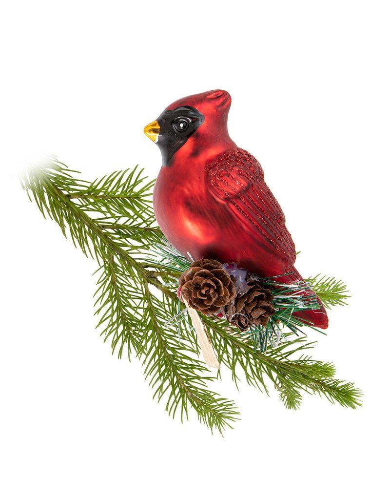 Cardinal with Fir Clip Ornament