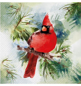 Winter Cardinal Luncheon Napkin - Package of 20