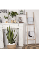 White Washed Wood Ladder