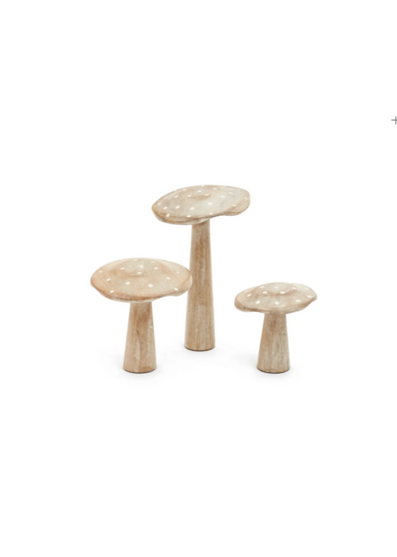 White Washed Wood Mushroom