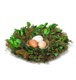 Boxwood Nest with Eggs