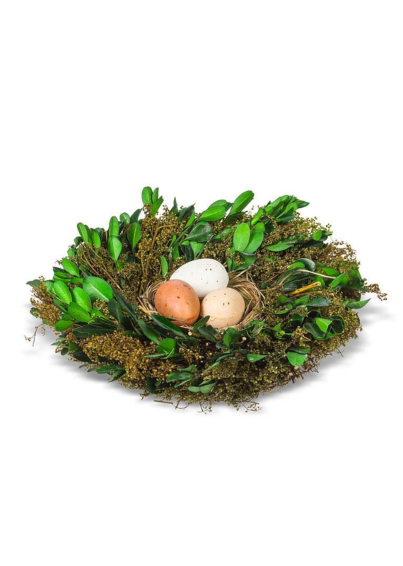 Boxwood Nest with Eggs