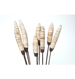 Sola Ring Cone - 10 Stems