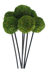Moss Ball (2.5") on Stem | Package of 6