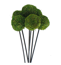 Moss Ball (2.5") on Stem | Package of 6
