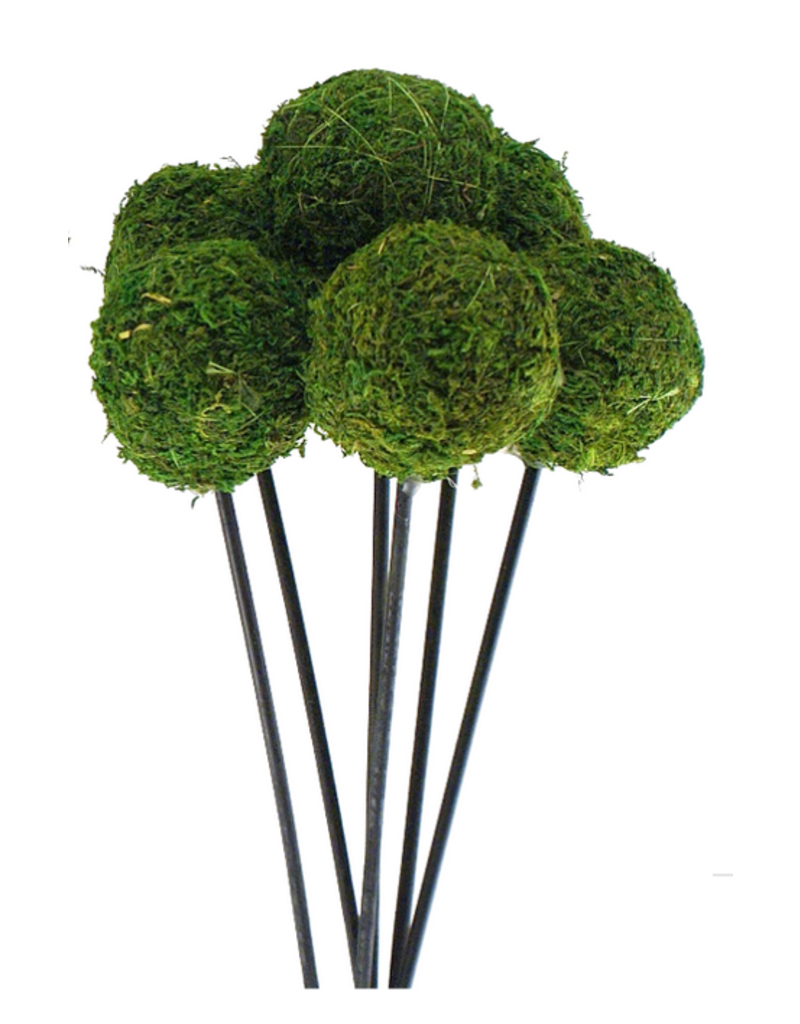 Moss Ball (2.5") on Stem | Package of 6