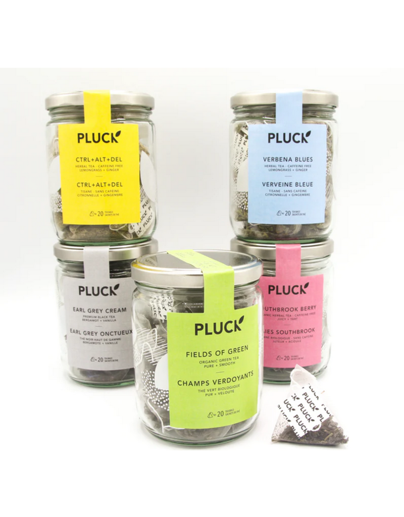Pluck Tea Orange Pekoe of York (organic) | Glass Jar of Tea Bags 20 Servings
