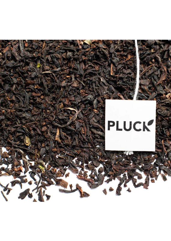 Pluck Tea Orange Pekoe of York (organic) | Glass Jar of Tea Bags 20 Servings