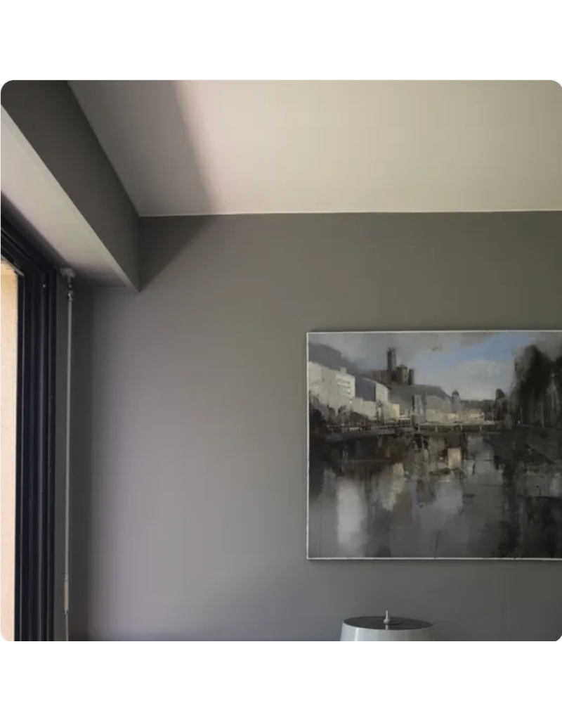 Farrow & Ball Paint Mole’s Breath No. 276 – Farrow & Ball Paint