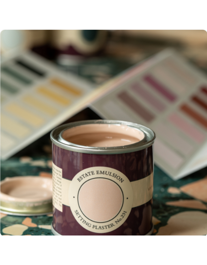 Farrow & Ball Paint Setting Plaster No. 231 – Farrow & Ball Paint