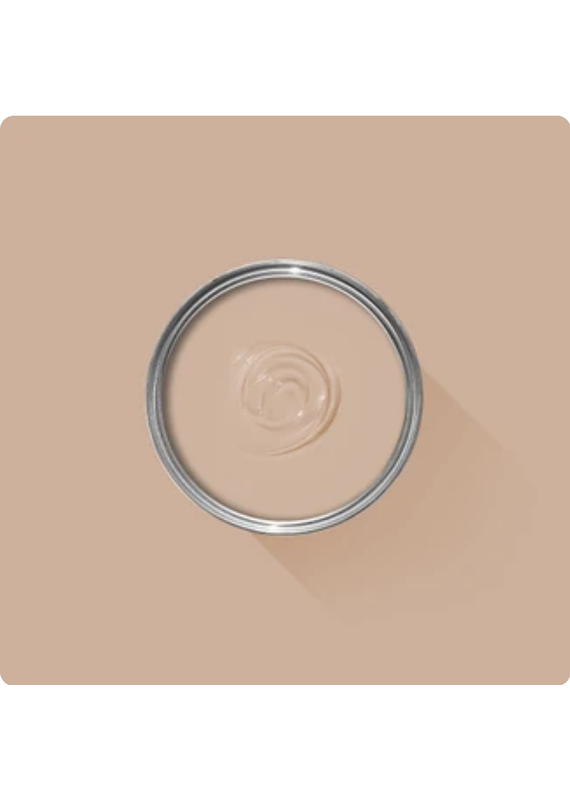 Farrow & Ball Paint Templeton Pink No. 303 – Farrow & Ball Paint