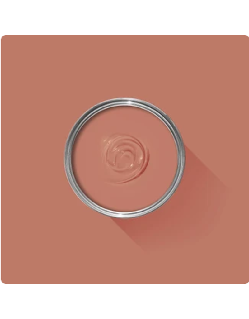 Farrow & Ball Paint Red Earth No. 64 – Farrow & Ball Paint