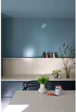 Farrow & Ball Paint Kittiwake No. 307 Farrow & Ball Paint