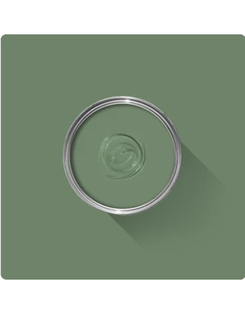 Farrow & Ball Paint Calke Green  No. 34