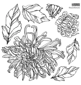 Iron Orchid Designs Chrysanthemums (two sheet set) Decor Stamp | Iron Orchid Designs 12"x12" with masks