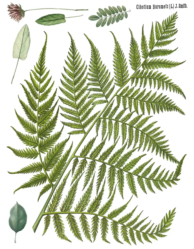 Iron Orchid Designs Fronds Botanical Transfer Pad - four 12"x16" sheets | Iron Orchid Designs