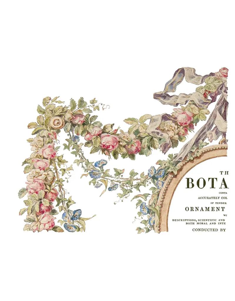 Iron Orchid Designs The Botanist Transfer Pad - four 12"x16" sheets | Iron Orchid Designs