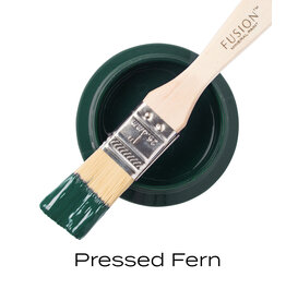 Pressed Fern - Fusion Mineral Paint