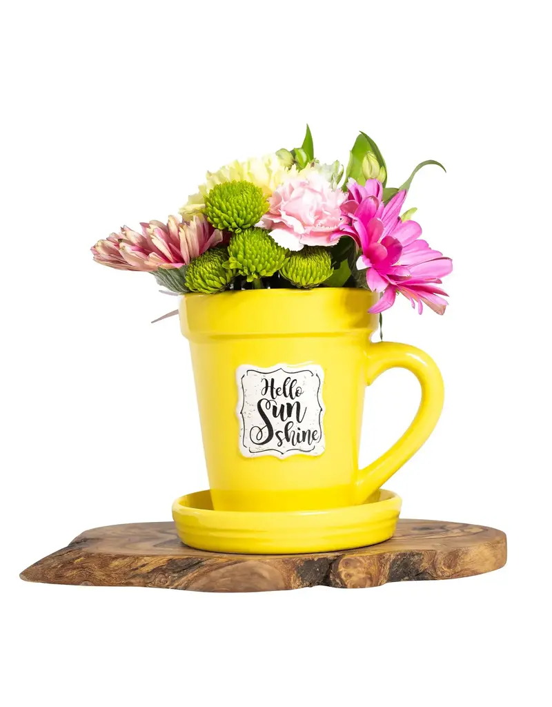 Hello Sunshine Flower Pot Mug