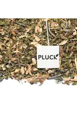 Pluck Tea Focus Premium Green Tea Pluck Tea 20 Servings Jar