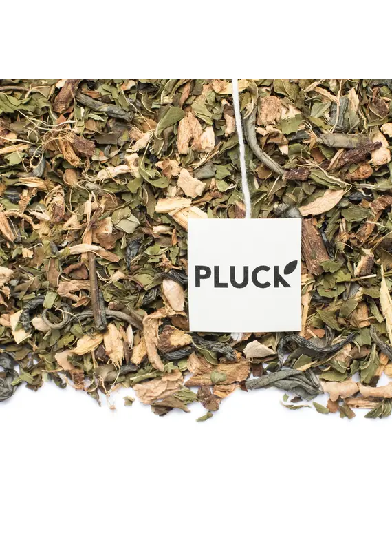 Pluck Tea Focus Premium Green Tea Pluck Tea 20 Servings Jar