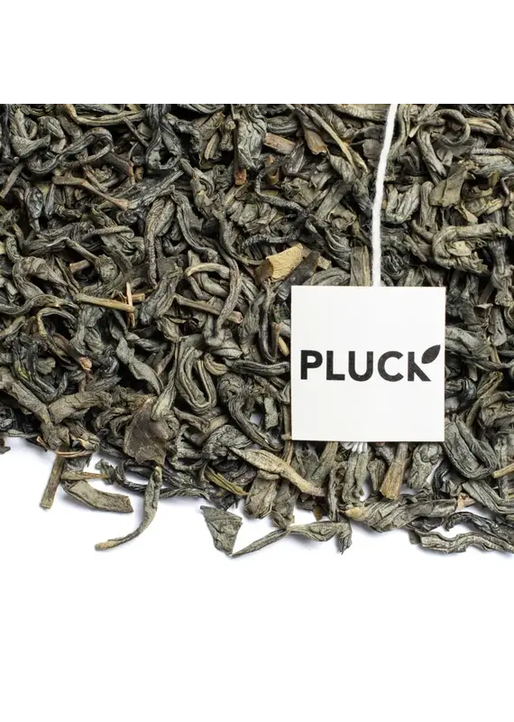 Pluck Tea Fields of Green | Glass Jar of Tea Bags 20 Servings
