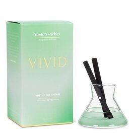 Abbott Collection Melon Sorbet Modern Reed Diffuser