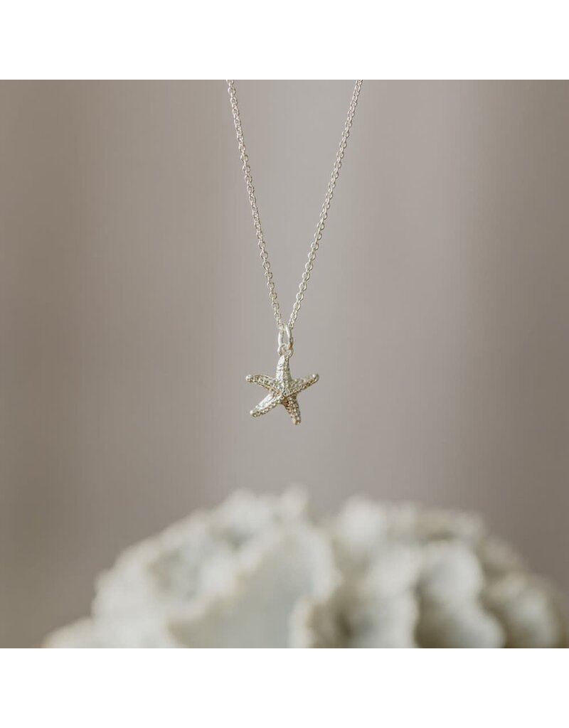 Glee Jewelry Starry Charm Necklace | Glee Jewelry