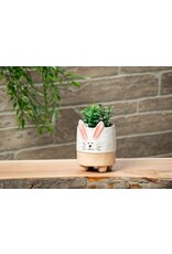 Abbott Collection Bunny with Ears Planter | sm