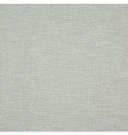 Alendel Silver 4067 | Esquire Multi Purpose Fabric