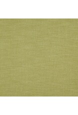 Alendel Avocado 907 | Esquire Multi Purpose Fabric
