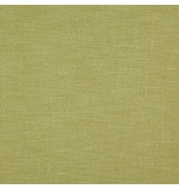 Alendel Avocado 907 | Esquire Multi Purpose Fabric