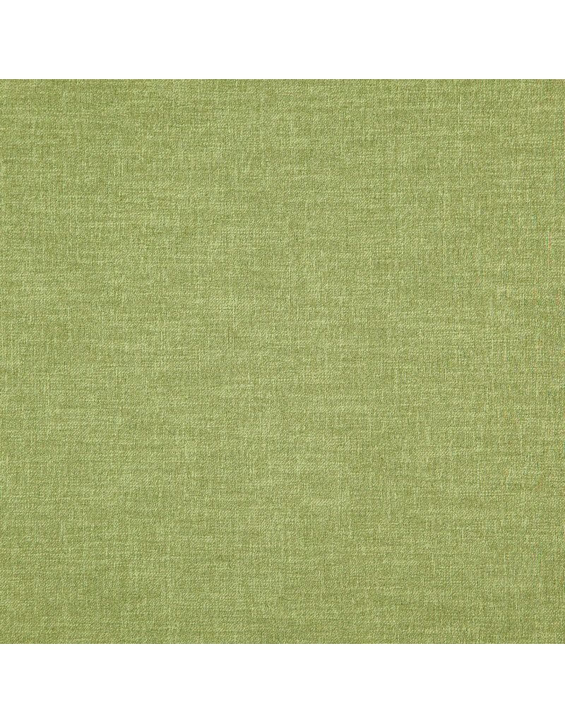 Alendel Grass 937 | Esquire Multi Purpose Fabric