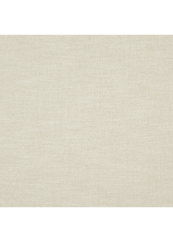 Alendel Linen 292 | Esquire Multi Purpose Fabric