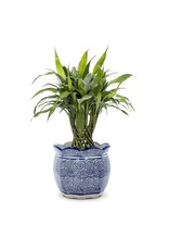 Abbott Collection Scallop Edge Porcelain Indigo Planter