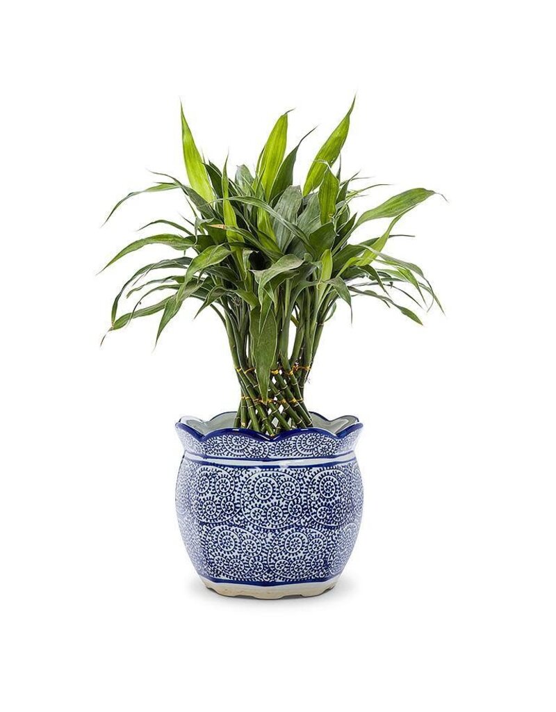 Abbott Collection Scallop Edge Porcelain Indigo Planter
