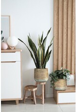 Abbott Collection Rattan Wrap Look Cement Planter | lg