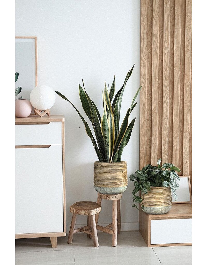 Abbott Collection Rattan Wrap Look Cement Planter | lg
