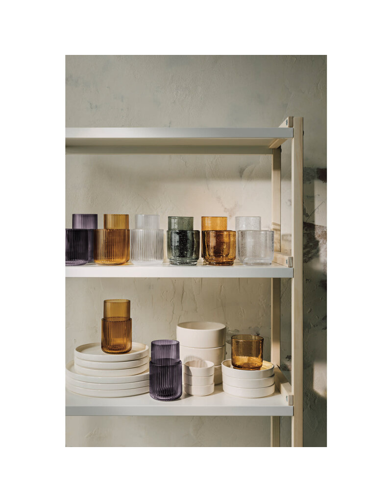 Danica Clear Handblown Bubbled Glass | 17oz Tall Tumbler