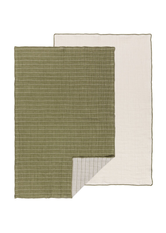 Danica Olive Double Weave Cotton Dishtowels Set of 2