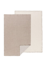 Danica Dove Gray Double Weave Cotton Dishtowels Set of 2