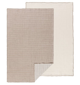 Danica Dove Gray Double Weave Cotton Dishtowels Set of 2