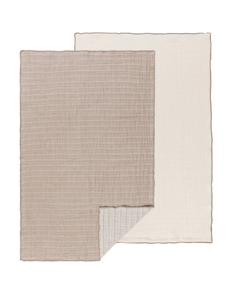 Danica Dove Gray Double Weave Cotton Dishtowels Set of 2