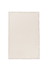 Danica Dove Gray Double Weave Cotton Dishtowels Set of 2