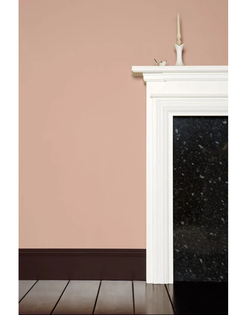 Farrow & Ball Paint Dead Salmon No. 28 – Farrow & Ball Paint