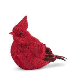 Abbott Collection Natural Fibre & Feather Cardinal