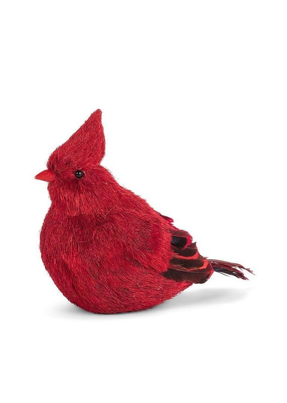 Abbott Collection Natural Fibre & Feather Cardinal