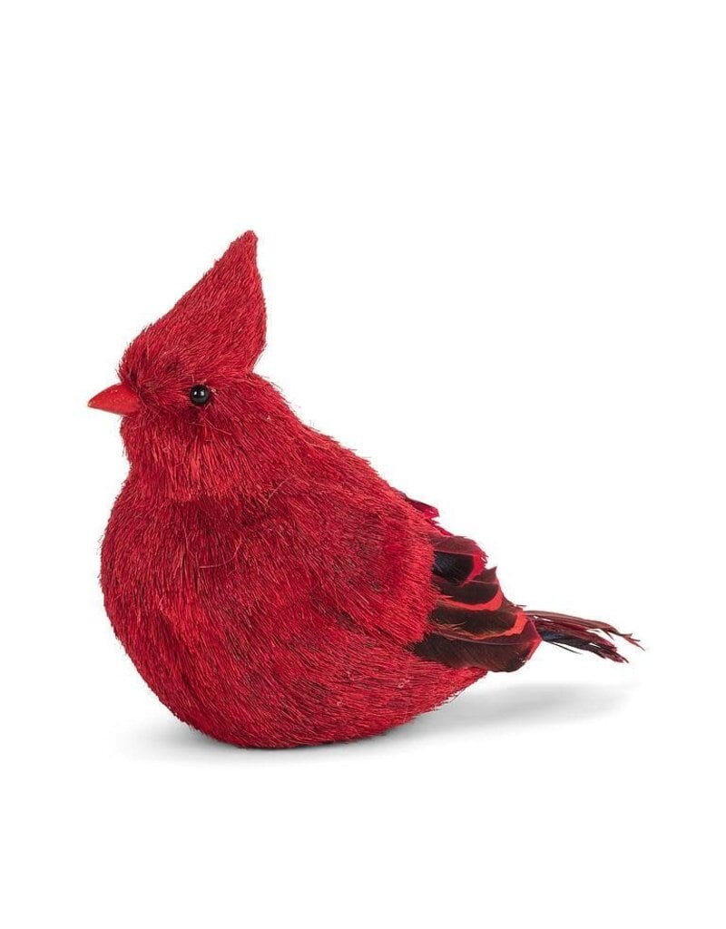 Abbott Collection Natural Fibre & Feather Cardinal